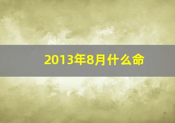 2013年8月什么命