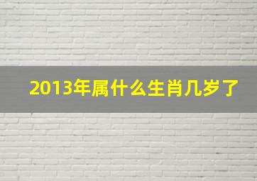 2013年属什么生肖几岁了