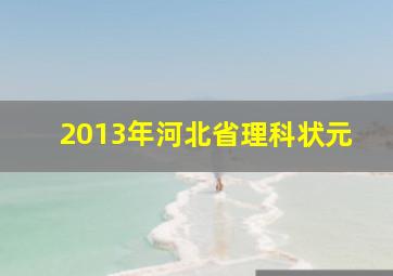 2013年河北省理科状元