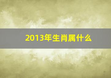 2013年生肖属什么