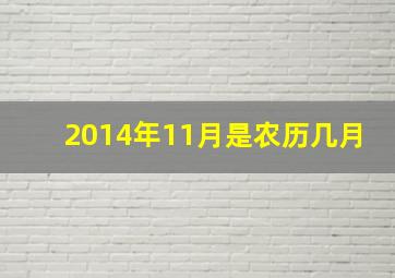 2014年11月是农历几月