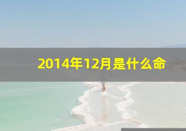 2014年12月是什么命