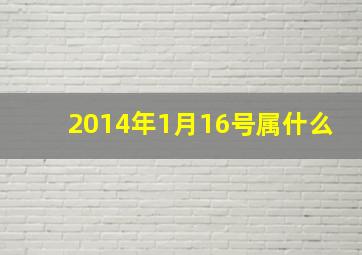 2014年1月16号属什么