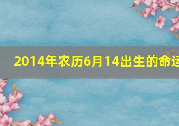 2014年农历6月14出生的命运