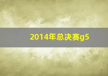 2014年总决赛g5