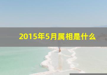 2015年5月属相是什么