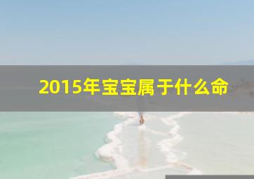 2015年宝宝属于什么命