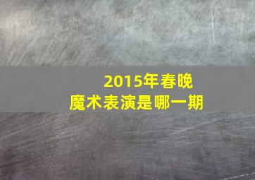 2015年春晚魔术表演是哪一期