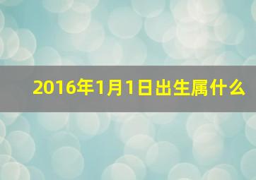 2016年1月1日出生属什么