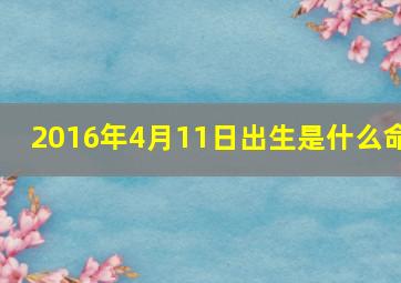 2016年4月11日出生是什么命