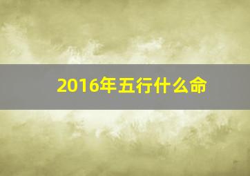 2016年五行什么命