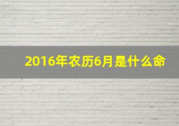 2016年农历6月是什么命