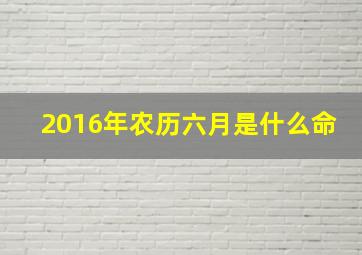 2016年农历六月是什么命