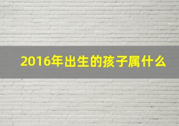 2016年出生的孩子属什么