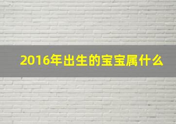 2016年出生的宝宝属什么