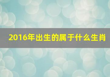 2016年出生的属于什么生肖