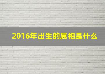 2016年出生的属相是什么