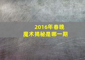 2016年春晚魔术揭秘是哪一期