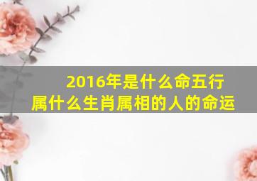 2016年是什么命五行属什么生肖属相的人的命运