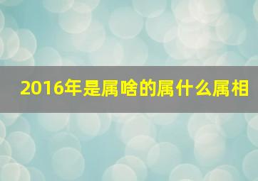 2016年是属啥的属什么属相