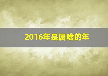 2016年是属啥的年