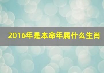 2016年是本命年属什么生肖