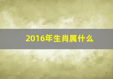 2016年生肖属什么