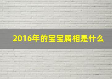 2016年的宝宝属相是什么