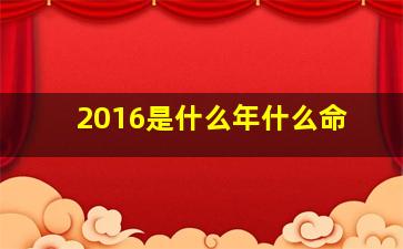 2016是什么年什么命