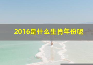 2016是什么生肖年份呢