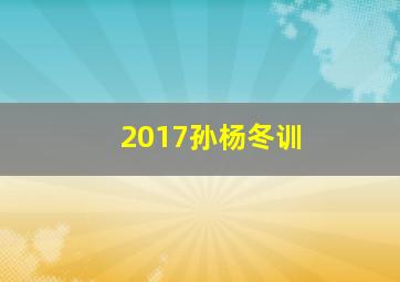 2017孙杨冬训