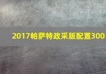 2017帕萨特政采版配置300