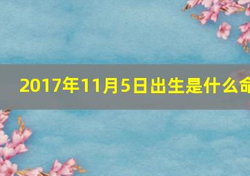 2017年11月5日出生是什么命