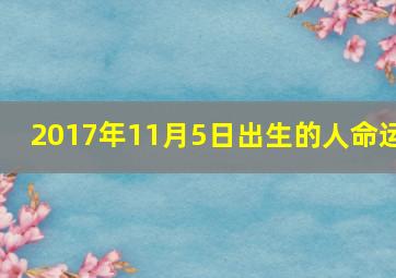 2017年11月5日出生的人命运