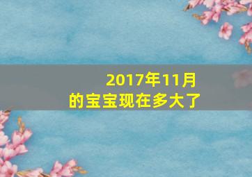 2017年11月的宝宝现在多大了