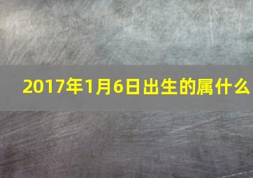 2017年1月6日出生的属什么