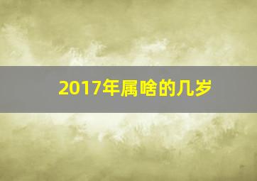 2017年属啥的几岁