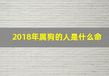 2018年属狗的人是什么命