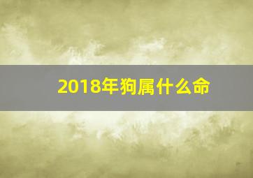 2018年狗属什么命