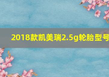 2018款凯美瑞2.5g轮胎型号