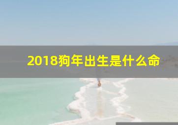 2018狗年出生是什么命