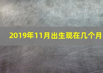 2019年11月出生现在几个月