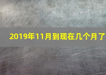 2019年11月到现在几个月了