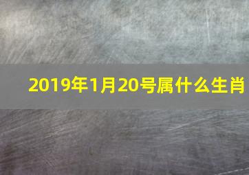 2019年1月20号属什么生肖