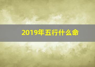 2019年五行什么命