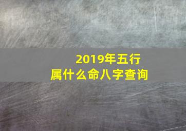 2019年五行属什么命八字查询