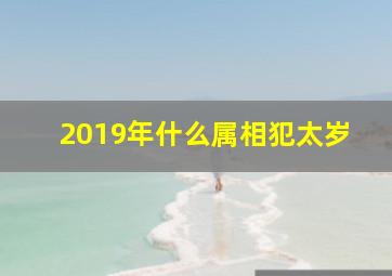 2019年什么属相犯太岁