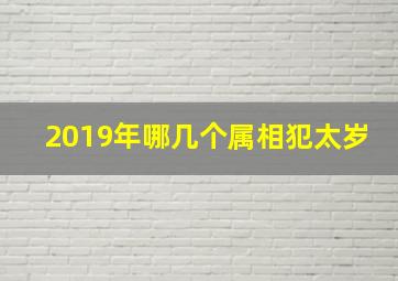 2019年哪几个属相犯太岁