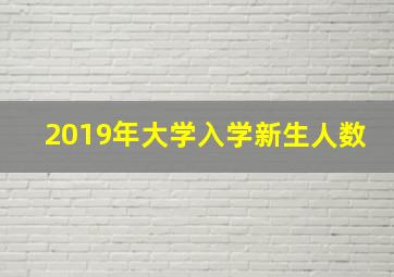 2019年大学入学新生人数