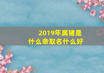 2019年属猪是什么命取名什么好